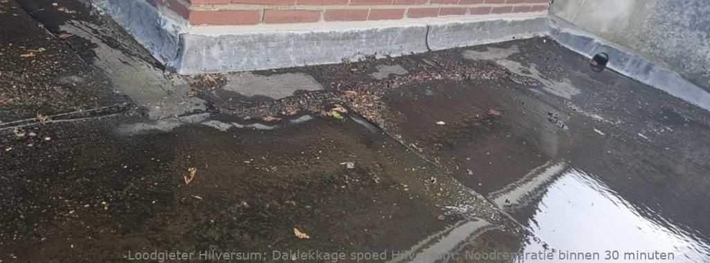 Daklekkage Spoed Hilversum