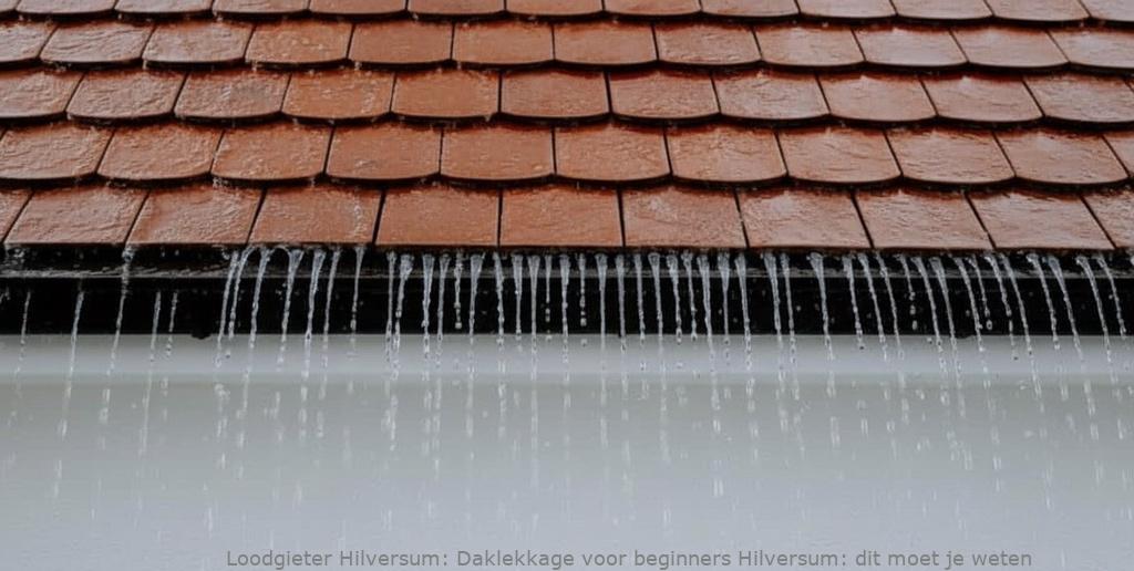 Daklekkage Voor Beginners Hilversum