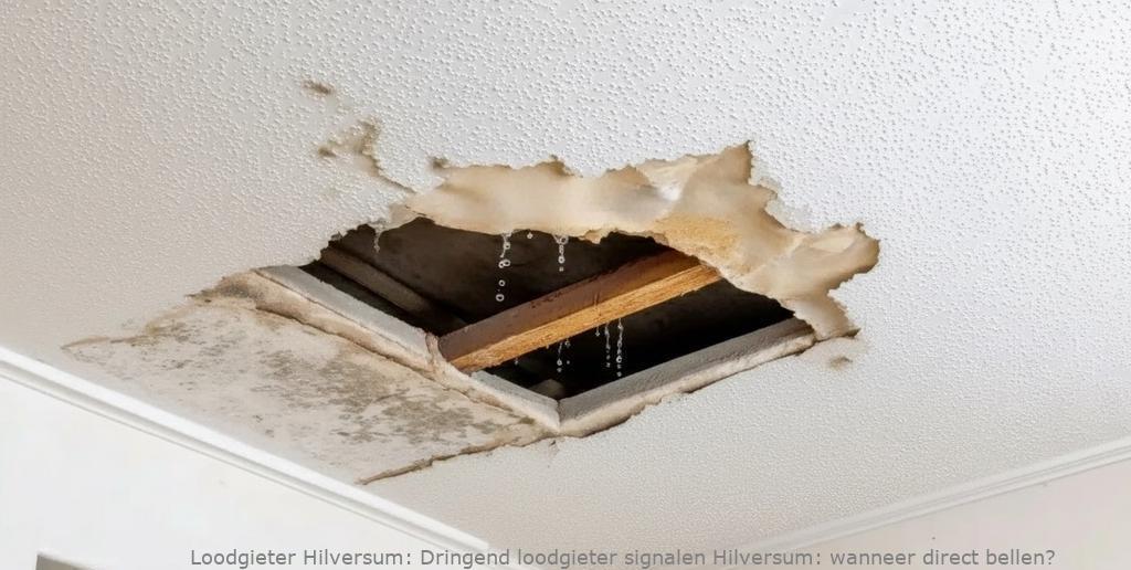 Dringend Loodgieter Signalen Hilversum