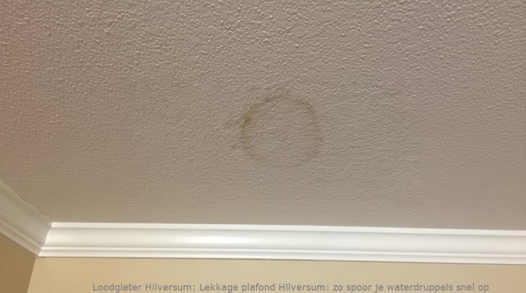 Lekkage Plafond Hilversum