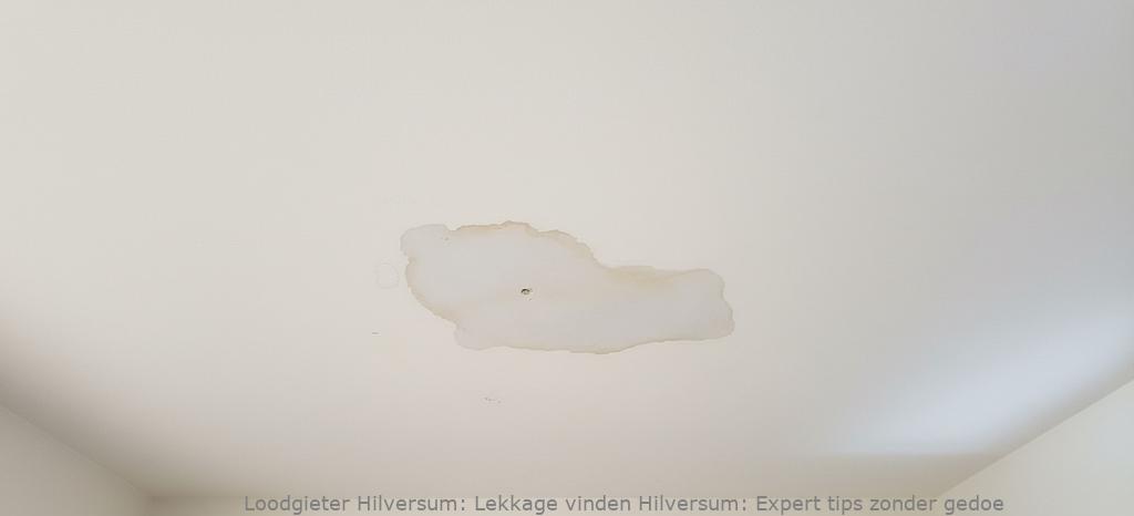 Lekkage Vinden Hilversum
