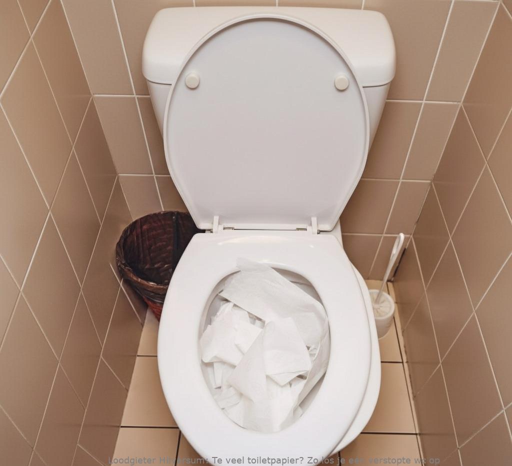 Te Veel Toiletpapier Oplossing Hilversum