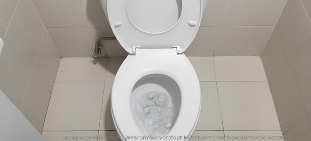 Waarom Wc Verstopt Hilversum