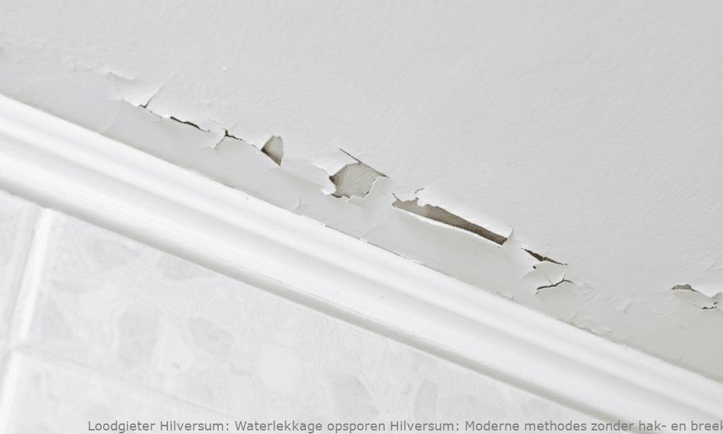 Waterlekkage Opsporen Hilversum